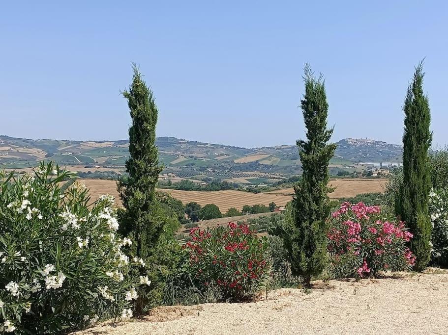 Appartamento Olivo Collecorvino エクステリア 写真