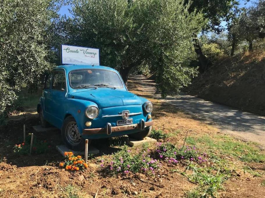Appartamento Olivo Collecorvino エクステリア 写真